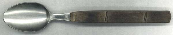 GUF1 (Stainless) Teaspoon