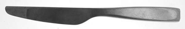 GON19 (Stainless) New French Solid Knife