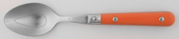 Le Prix Persimmon (Stainless) by Ginkgo