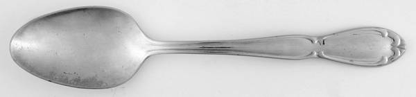 Carolyn (Stainless) Teaspoon