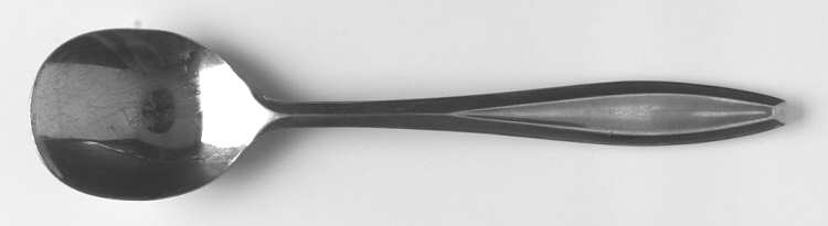Neptune (Stainless) Sugar Spoon