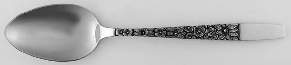 Spring Lake (Stainless) Tablespoon (Serving Spoon)