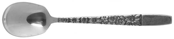 Spring Lake (Stainless) Sugar Spoon