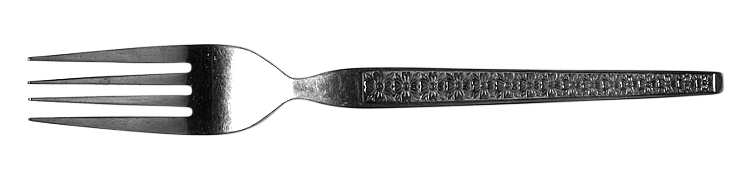 Trocadero (Stainless) Fork