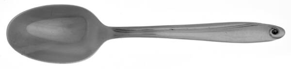 Crestview (Stainless) Teaspoon