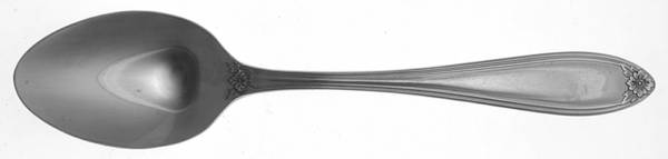 Fleurette (Stainless) Place/Oval Soup Spoon