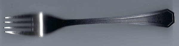 HMR1 (STAINLESS) Fork