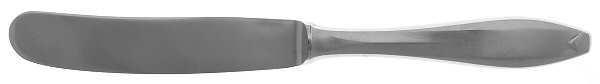 HOF1 (Stainless) Modern Hollow Butter Spreader (Stainless)