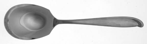 Young Hope (Stainless) Solid Salad Serving Spoon