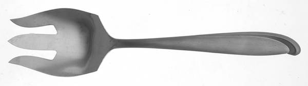 Young Hope (Stainless) Solid Salad Serving Fork