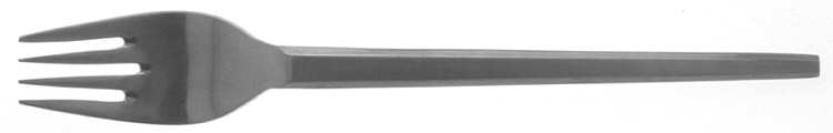New Nordic (Stainless) Fork
