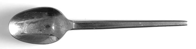 New Nordic (Stainless) Teaspoon