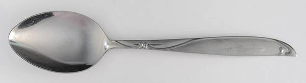 Riptide (Stainless) Teaspoon
