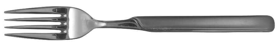 Synergy (Stainless) Fork