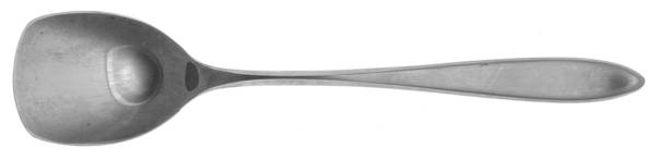 HDH9 (STAINLESS) Sugar Spoon