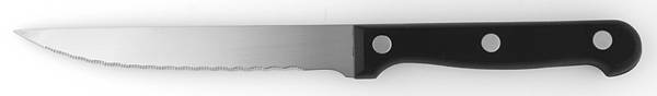 Applaude (Stainless) Individual Steak Knife Hollow Handle