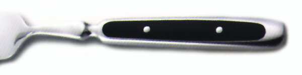 Fiero-Black (Stainless) by Hampton Silversmiths