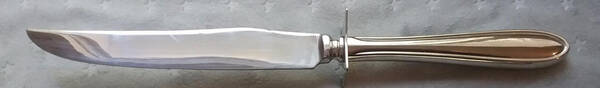Gourmet (Stainless) Large Stainless Blade Roast Carving Knife