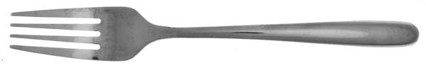 Slope (Stainless) Individual Salad Fork