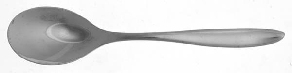 Venicia (Stainless) Teaspoon