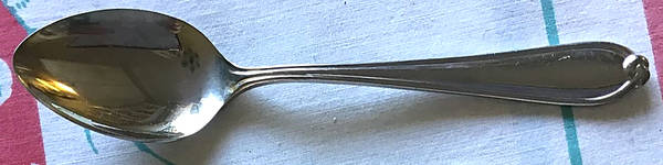 Carleton (STAINLESS) Teaspoon