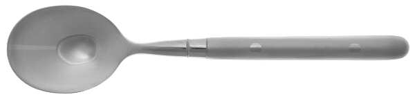 Cassidy Frosted (Stainless) Sugar Spoon