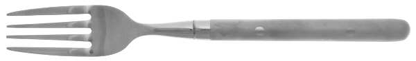 Cassidy Frosted (Stainless) Fork