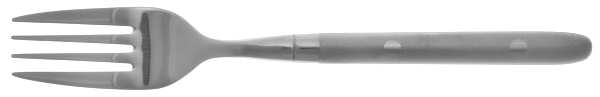 Cassidy Frosted (Stainless) Individual Salad Fork