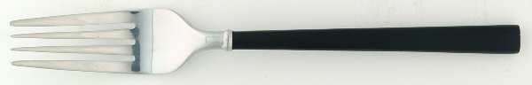 HSV102 (Stainless) Fork