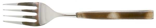 Kenya (Stainless, Resin) Individual Salad Fork