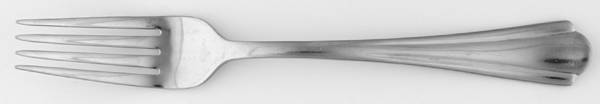 HSV111 (Stainless) Fork