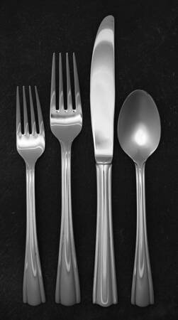 Elana (Stainless) 4 Piece Place Setting by Hampton Silversmiths