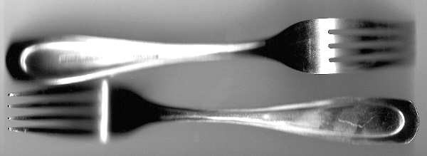 HSV118 (Stainless) Fork