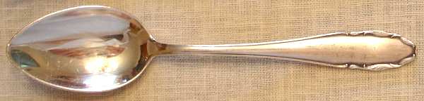 HEN39 (Stainless) Teaspoon