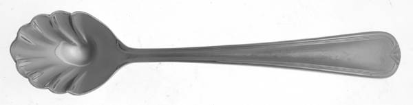 Cecina (Stainless) Sugar Shell Spoon