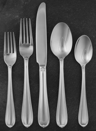 HSV133 (Stainless) 5 Piece Place Setting