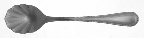 Andover (Stainless) Sugar Shell Spoon