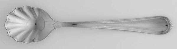Tara (Stainless) Sugar Shell Spoon