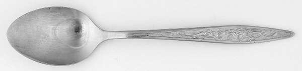 HMO5 (Stainless) Teaspoon