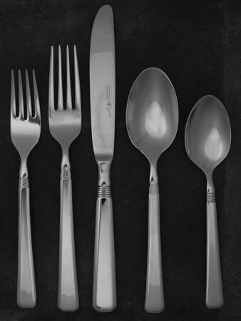 Metrona (Stainless) 40 Piece Estate Set