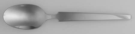 Trialon (Stainless) Teaspoon
