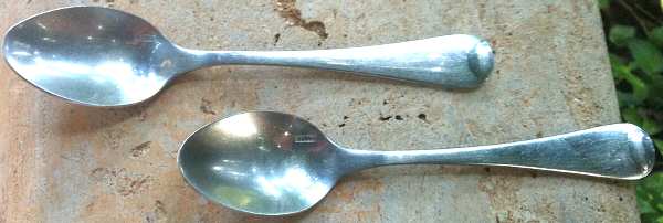 HEN68 (Stainless) Teaspoon