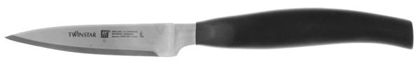 Stainless Flatware Plastic Handle Paring Knife
