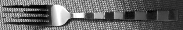 HSV210 (Stainless) Fork