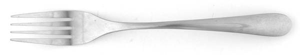 HSV221 (Stainless) Individual Salad Fork