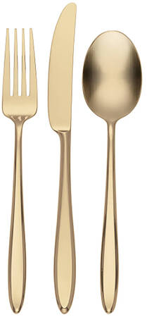 Ayla Satin Champagne (Stainless) by Hampton Silversmiths