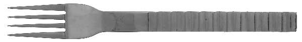 IKE1 (Stainless) Fork