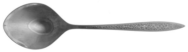 Bright Meadow (Stainless) Tablespoon (Serving Spoon)