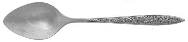 Bright Meadow (Stainless) Teaspoon