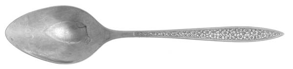 Bright Meadow (Stainless) Place/Oval Soup Spoon